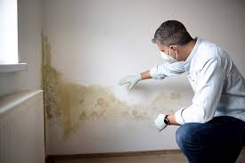 Best Crawl Space Mold Remediation  in Wooster, AR